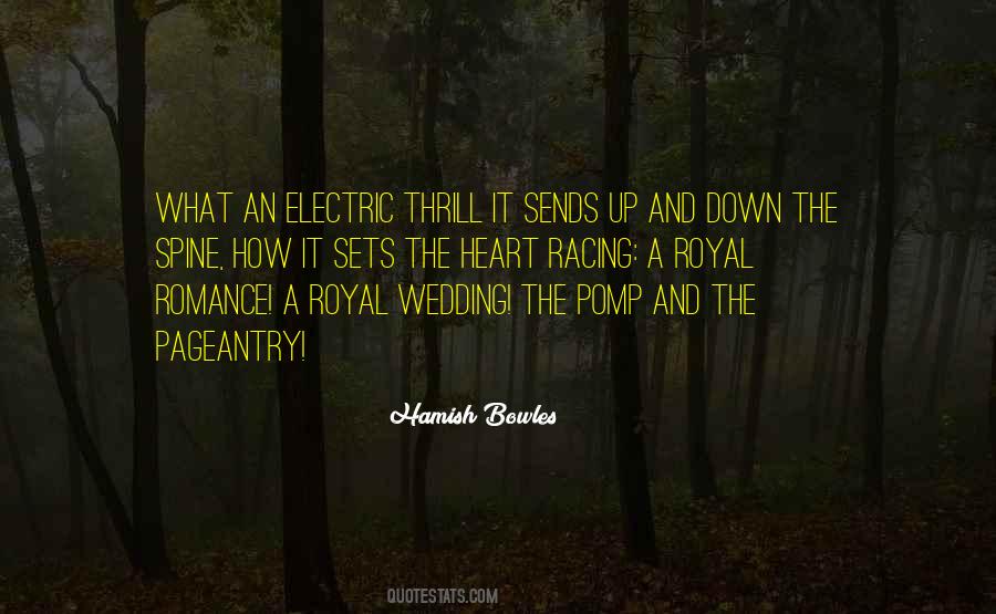 Hamish Bowles Quotes #344061