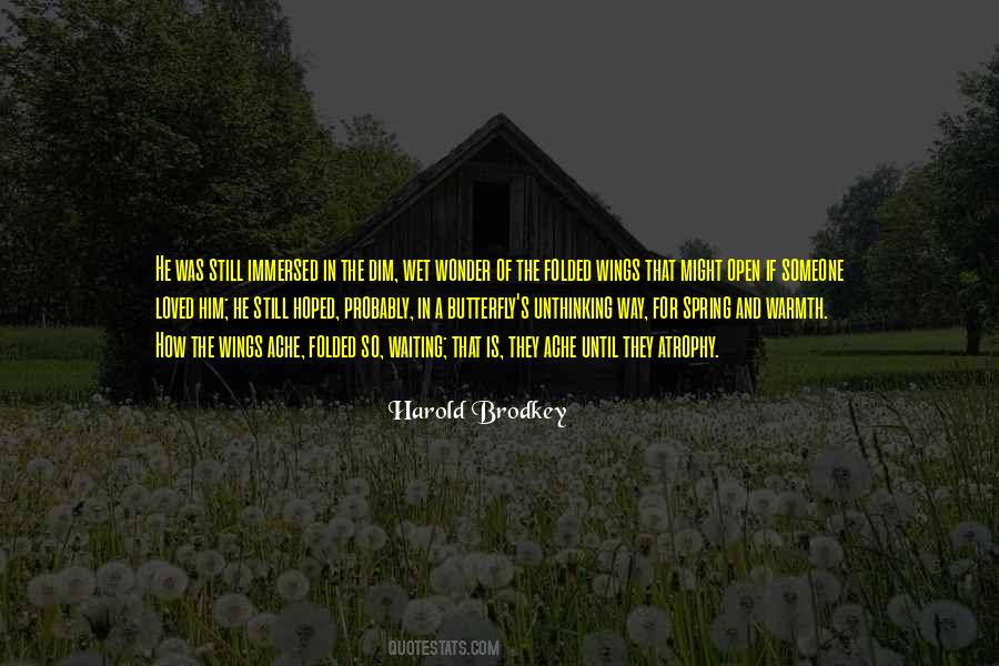 Harold Brodkey Quotes #487492