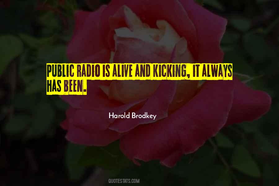 Harold Brodkey Quotes #776494