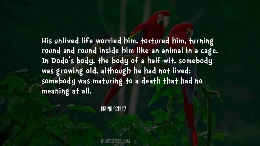 Quotes About Growing Up And Maturing #1722593