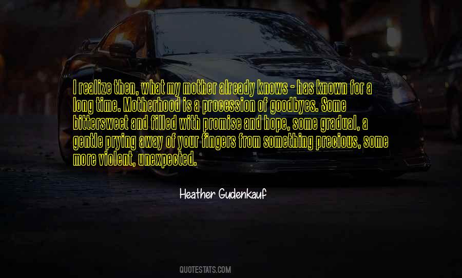 Heather Gudenkauf Quotes #370125