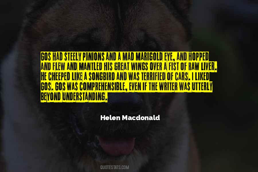 Helen Macdonald Quotes #1693204