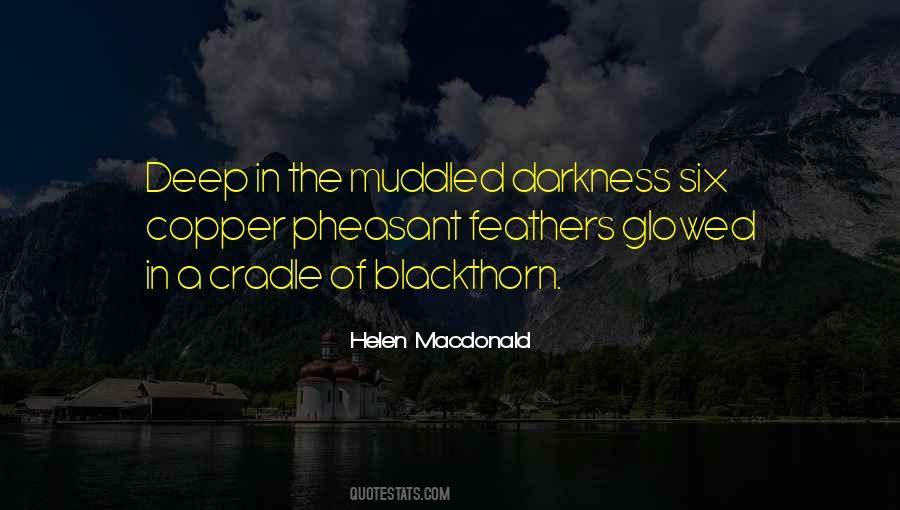 Helen Macdonald Quotes #366100