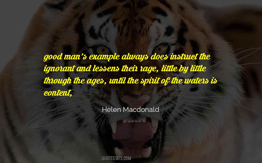 Helen Macdonald Quotes #636678