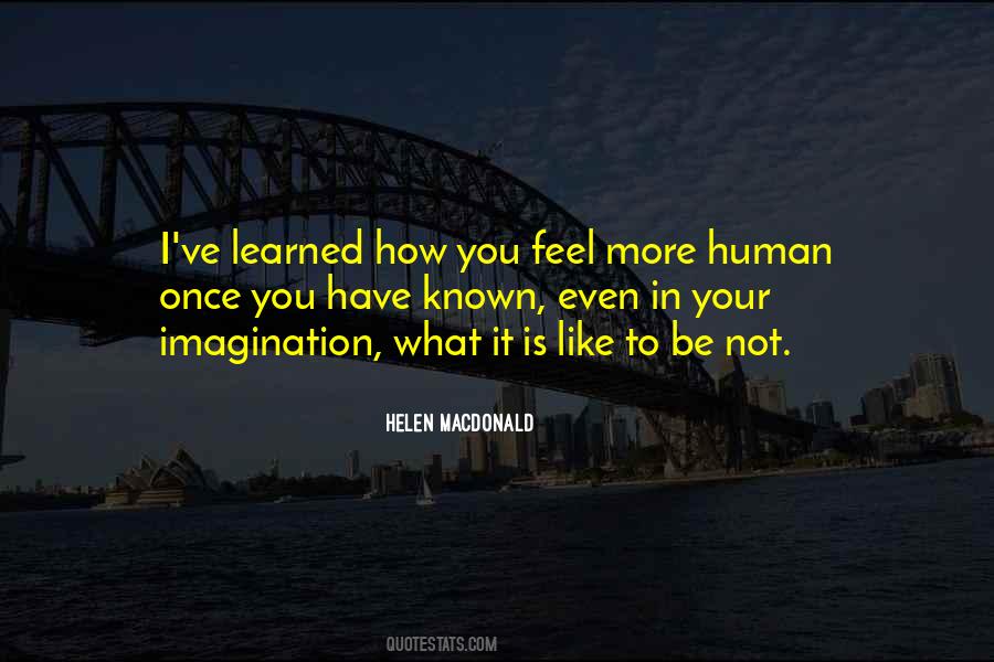 Helen Macdonald Quotes #839218