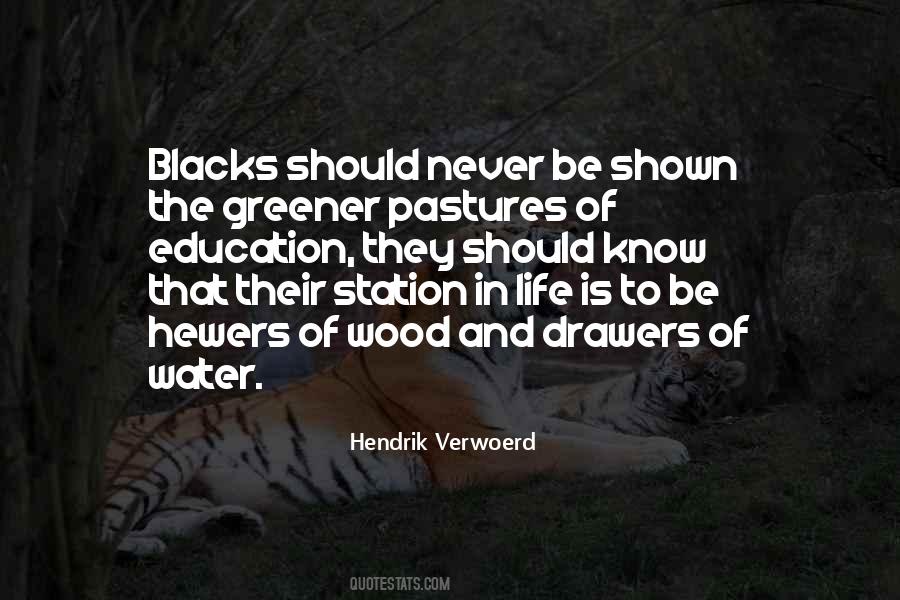 Hendrik Verwoerd Quotes #779492