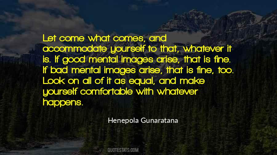 Henepola Gunaratana Quotes #1040898