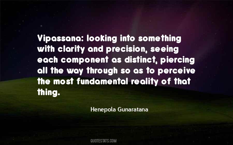 Henepola Gunaratana Quotes #1042211