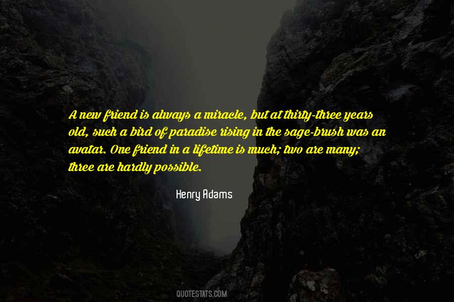 Henry Adams Quotes #218517