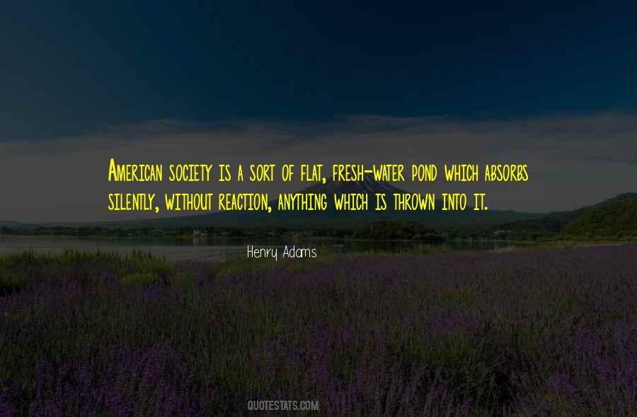 Henry Adams Quotes #308499