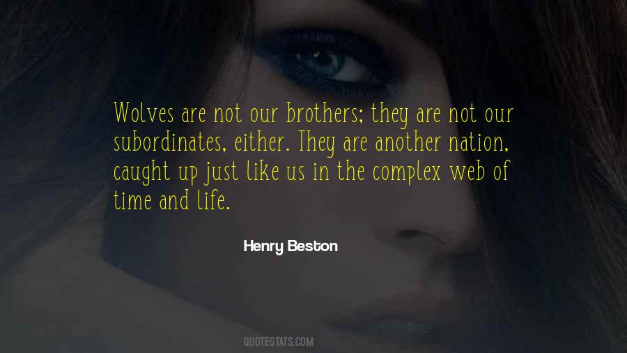 Henry Beston Quotes #574218