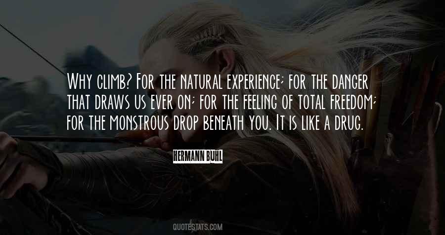 Hermann Buhl Quotes #67364