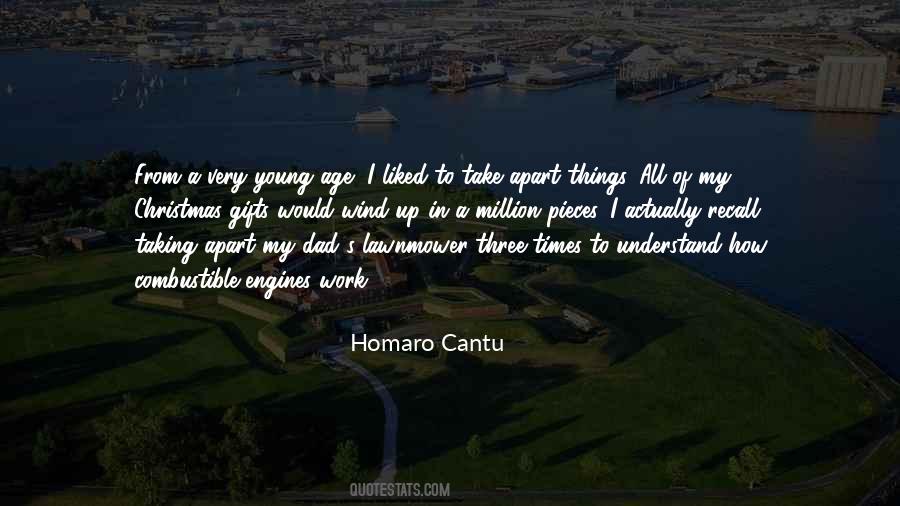 Homaro Cantu Quotes #443462