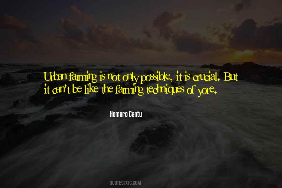 Homaro Cantu Quotes #654973