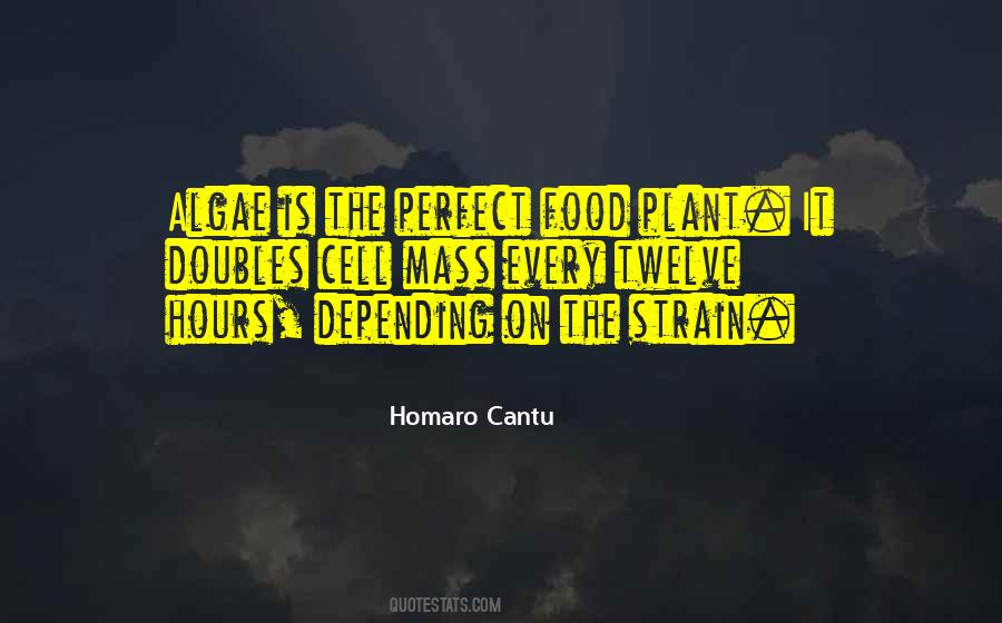 Homaro Cantu Quotes #908767