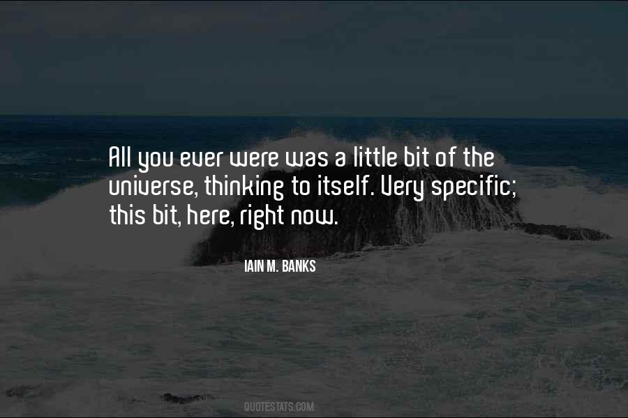Iain Banks Quotes #497880
