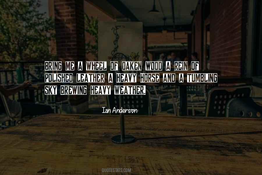 Ian Anderson Quotes #676563