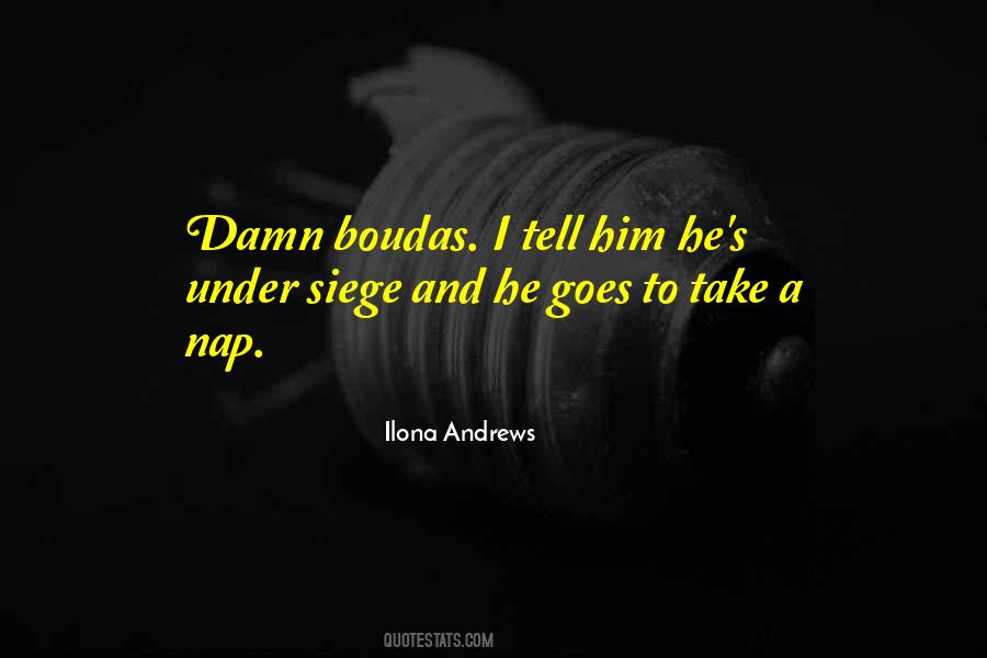 Ilona Andrews Quotes #36669