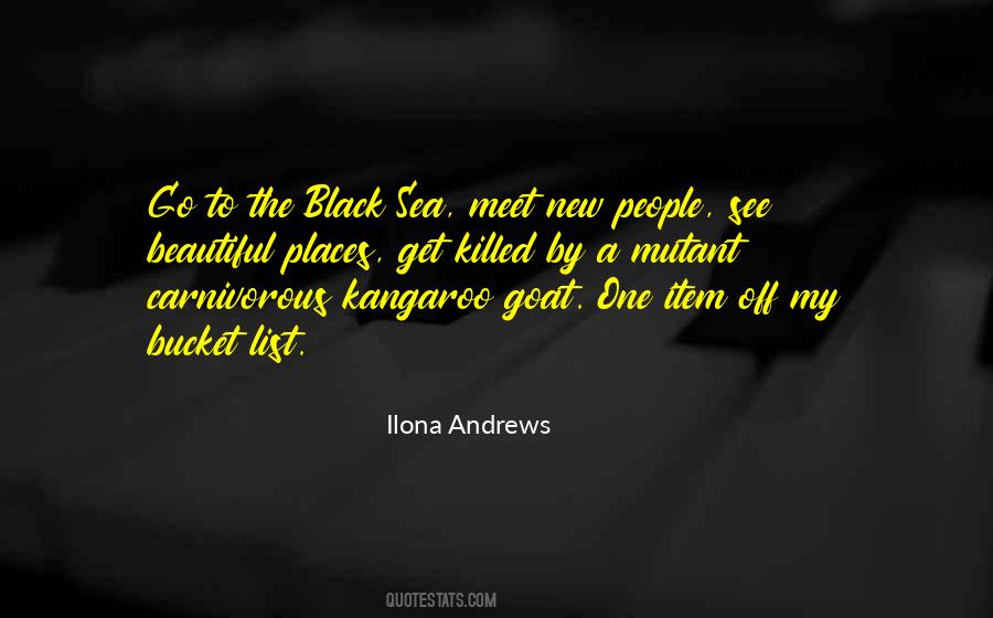 Ilona Andrews Quotes #83077