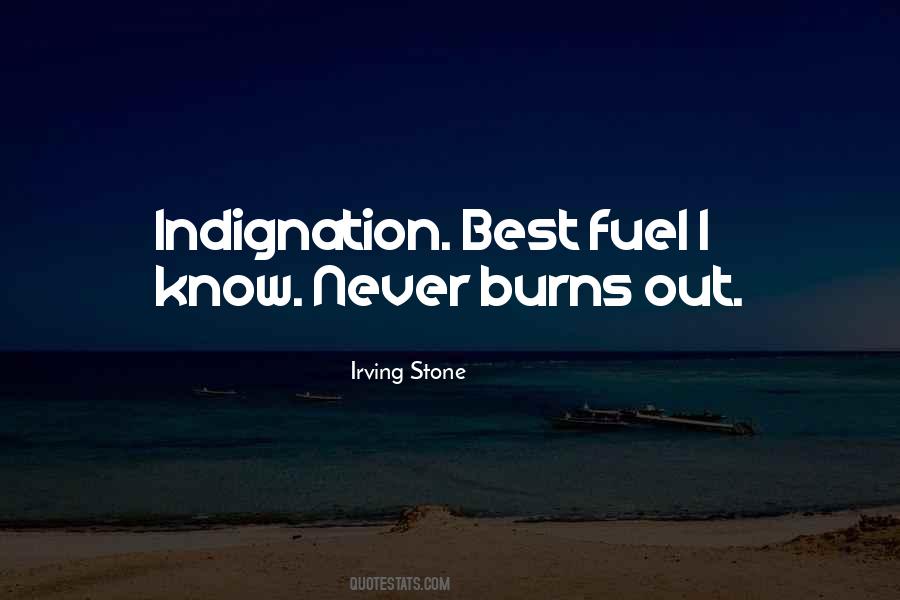 Irving Stone Quotes #677988