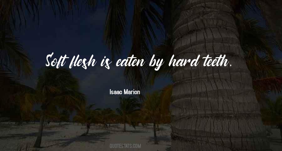 Isaac Marion Quotes #576581