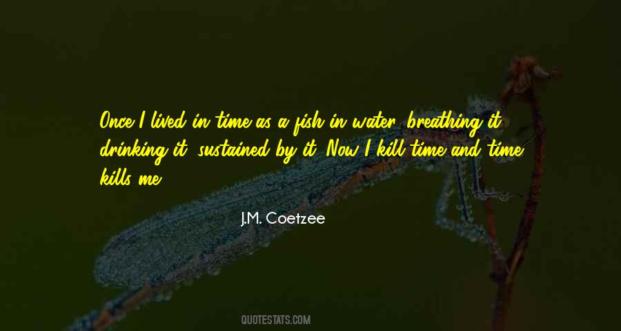 J M Coetzee Quotes #407408