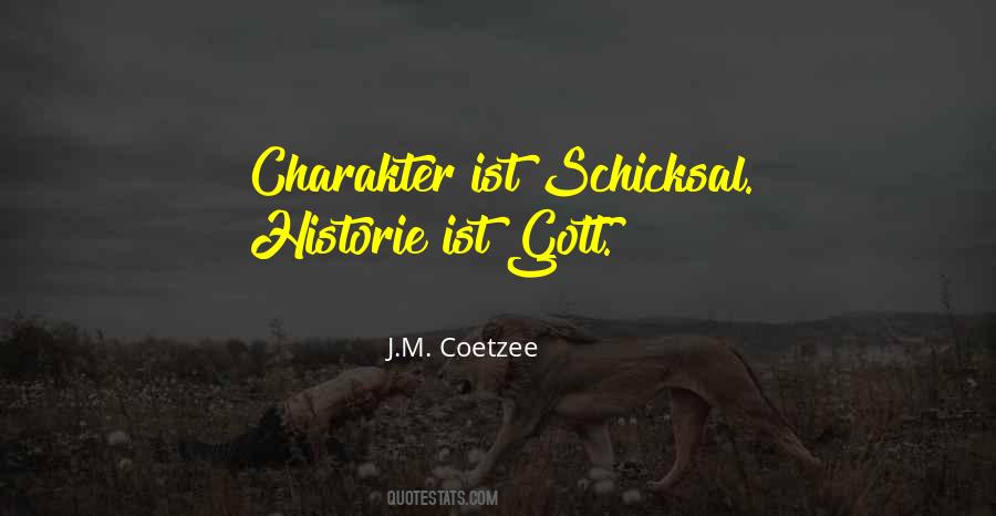 J M Coetzee Quotes #794116