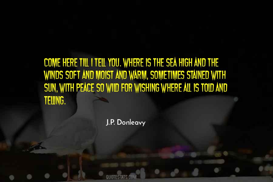 J P Donleavy Quotes #343953