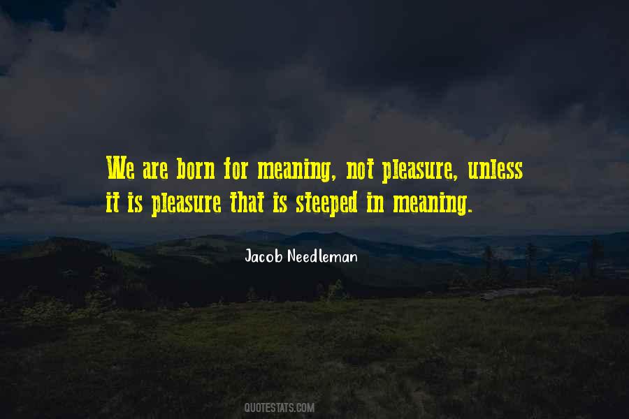 Jacob Needleman Quotes #1044222