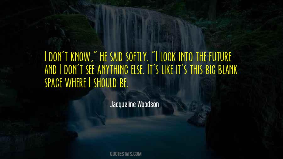 Jacqueline Woodson Quotes #689884