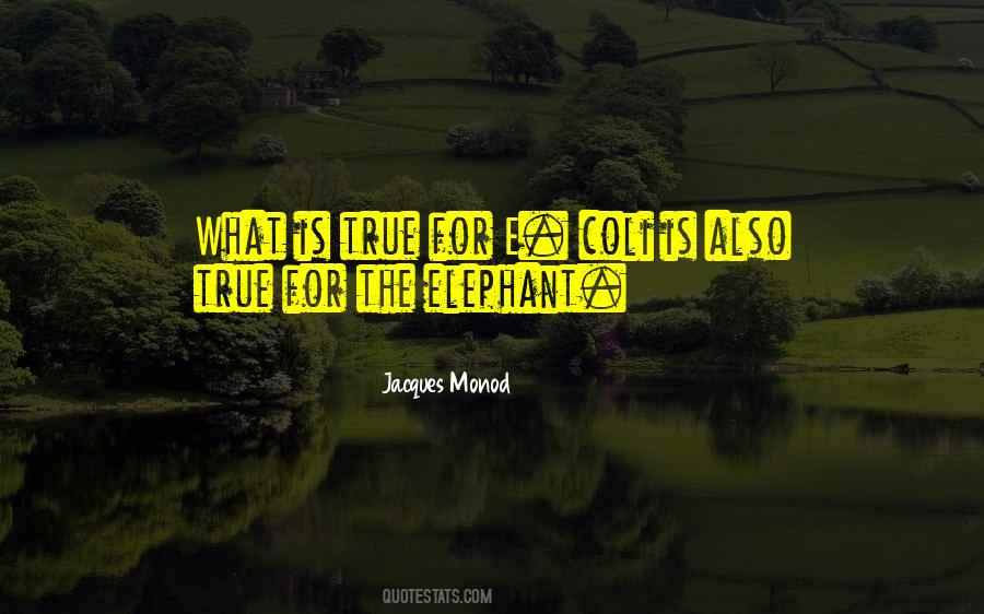 Jacques Monod Quotes #723866