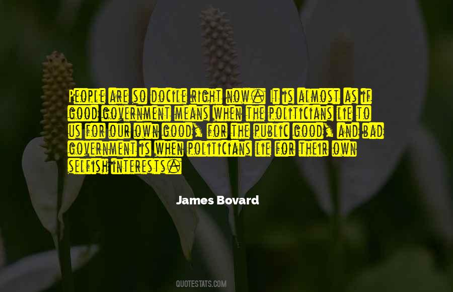 James Bovard Quotes #861942