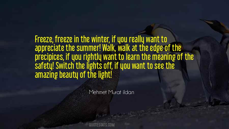 Quotes About Winter Light #484774