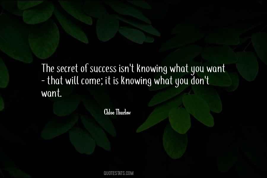 Quotes About The Secret Of Success #1436632