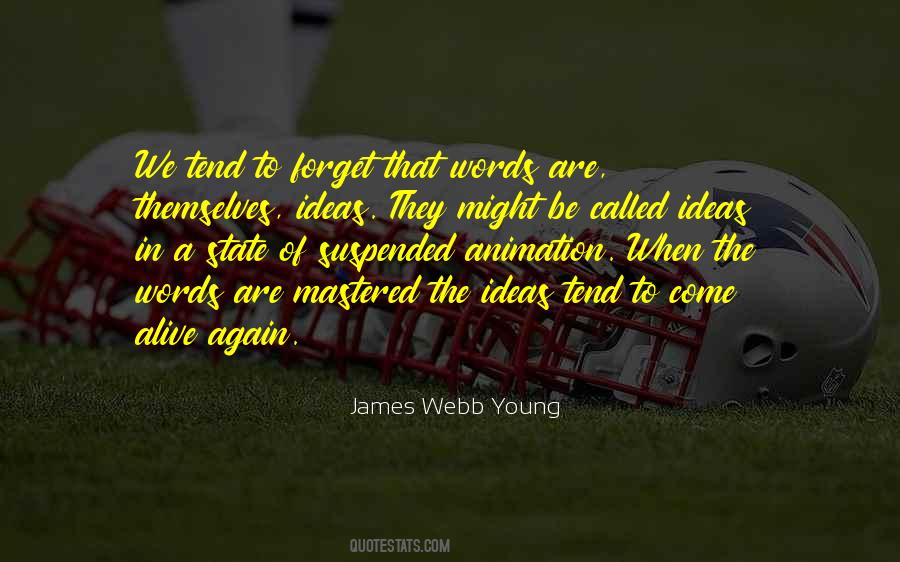 James E Webb Quotes #521699