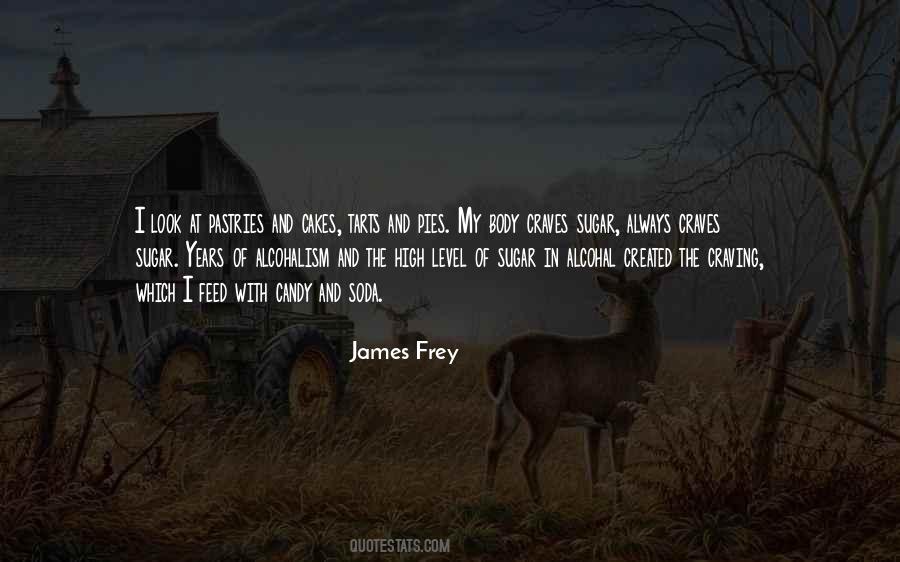 James Frey Quotes #426665