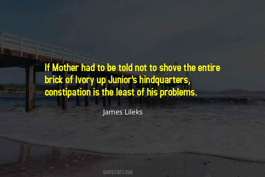 James Lileks Quotes #1386087