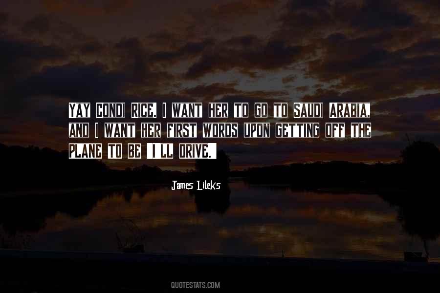 James Lileks Quotes #423912