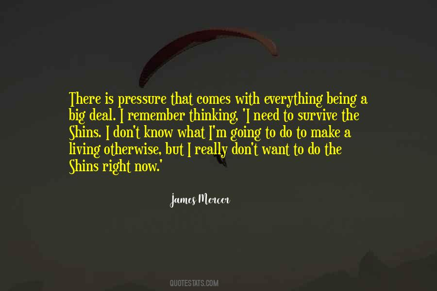 James Mercer Quotes #743