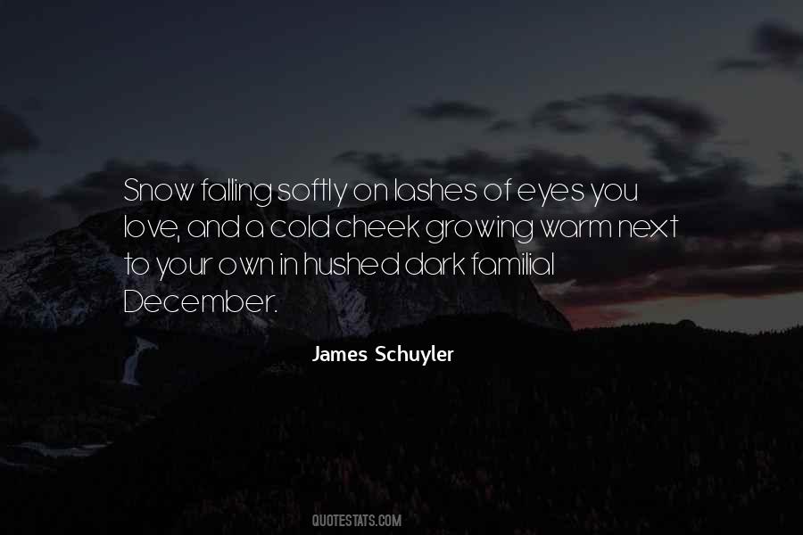 James Schuyler Quotes #1181147