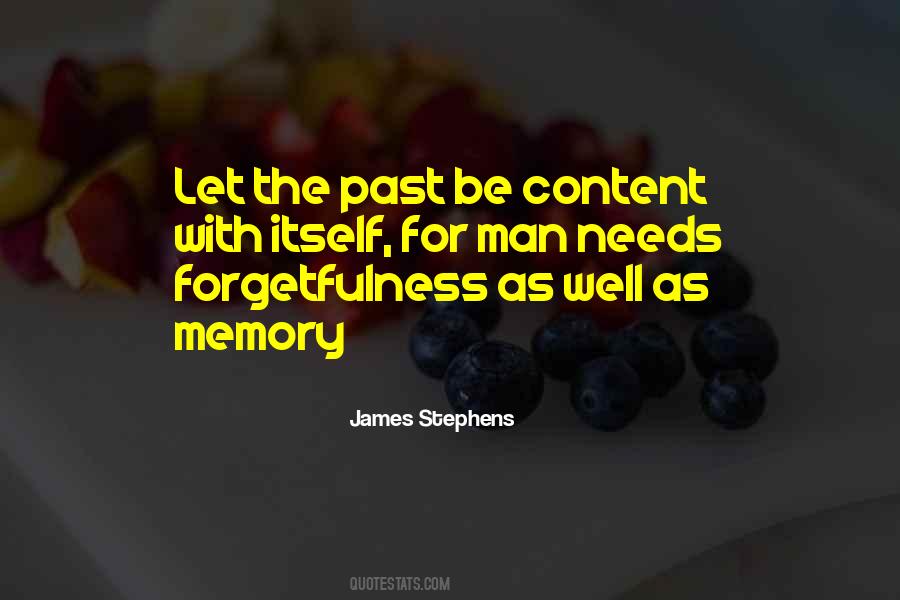 James Stephens Quotes #1516071