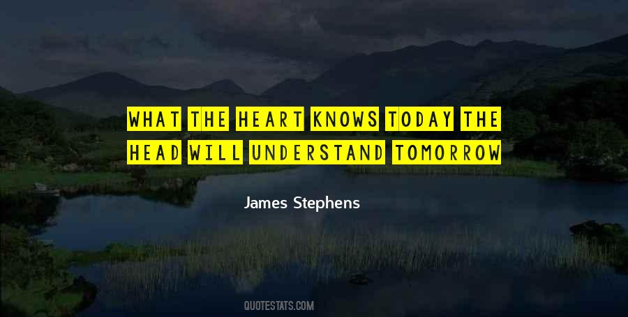 James Stephens Quotes #843611