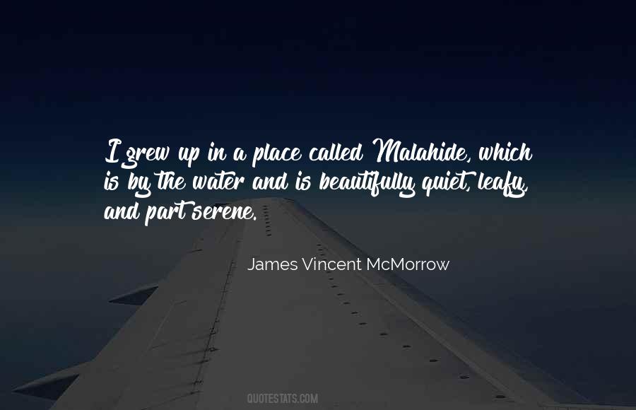 James Vincent Mcmorrow Quotes #1252141