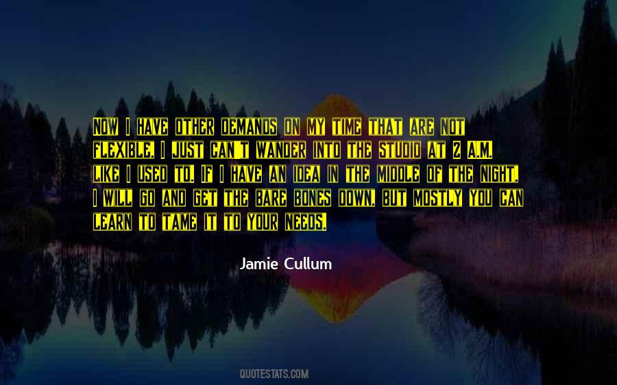 Jamie Cullum Quotes #363206