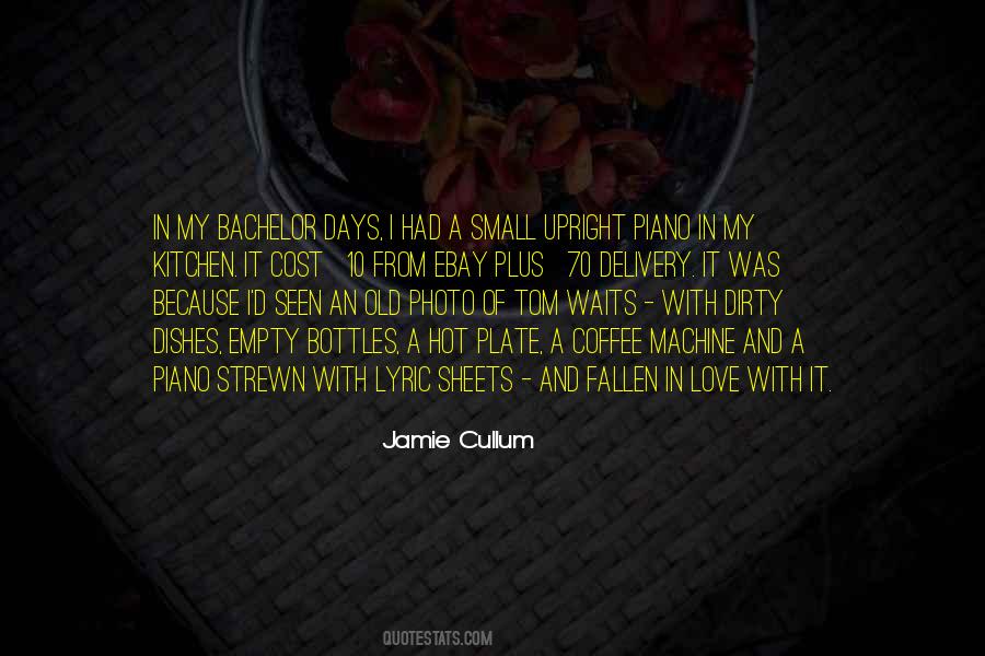 Jamie Cullum Quotes #776428