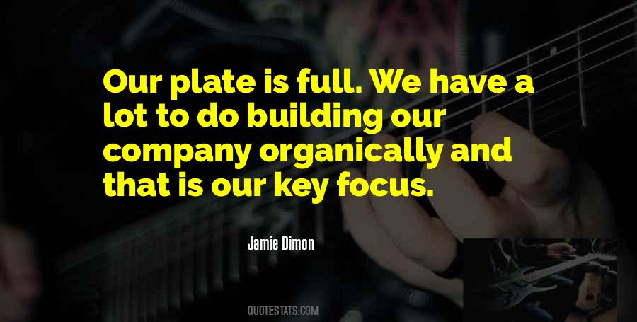 Jamie Dimon Quotes #67532