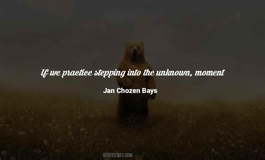 Jan Chozen Bays Quotes #754086