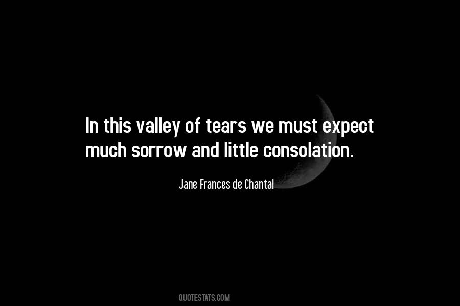 Jane Frances De Chantal Quotes #196324
