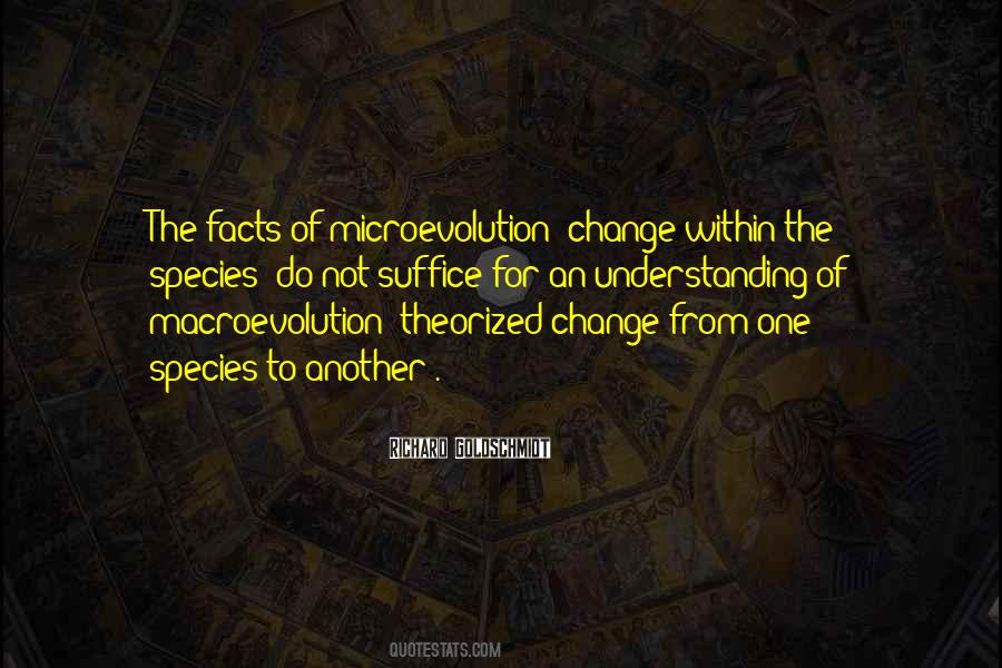 Quotes About Understanding One Another #1101577