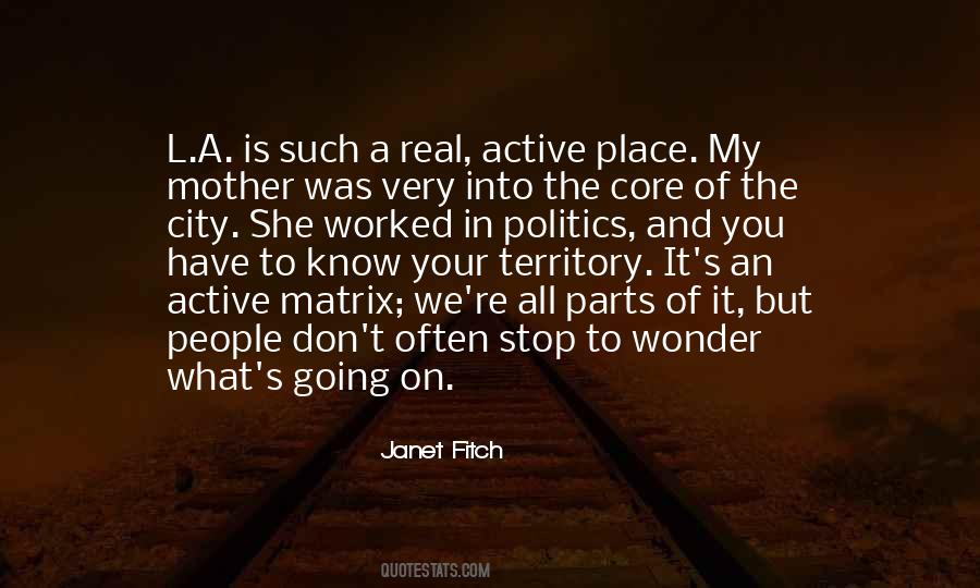 Janet Fitch Quotes #13934